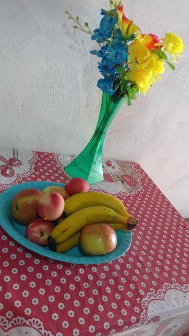 FlorianópolisTiny House Mocambique - Sua Casinha Em Floripa!别墅 外观 照片