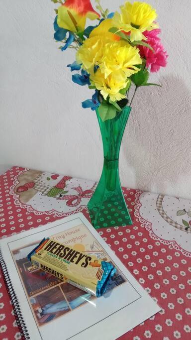 FlorianópolisTiny House Mocambique - Sua Casinha Em Floripa!别墅 外观 照片